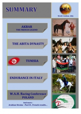 World Arabian Ably N^4 - Arabian Horses